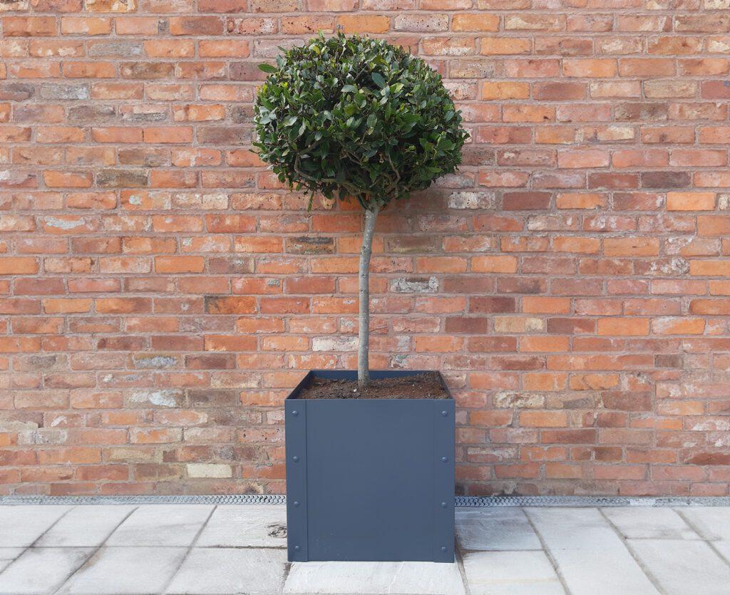 uploads/images/Planter 01 1024x835