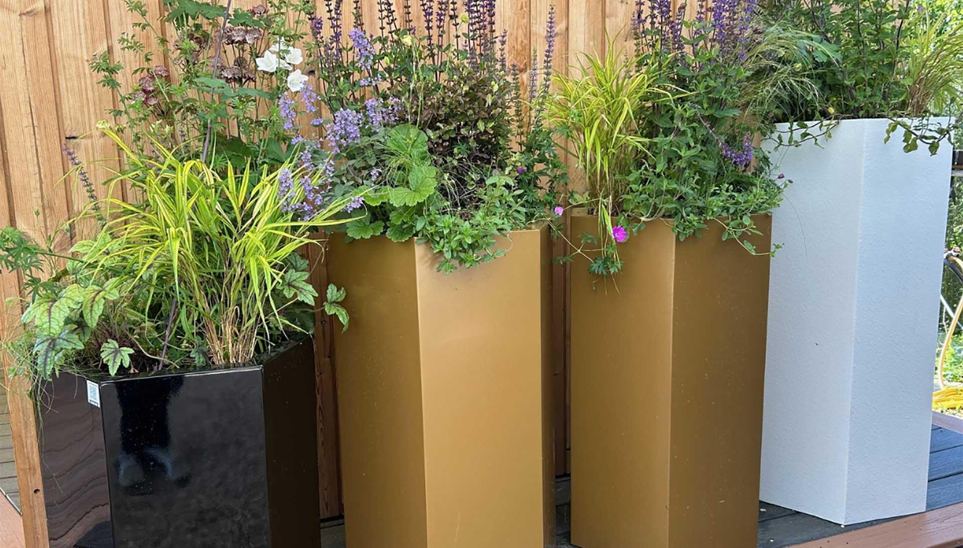 uploads/images/Planters 5