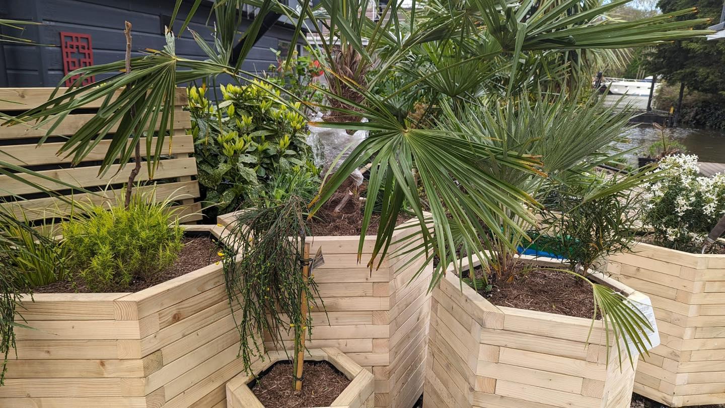 uploads/images/Planters3