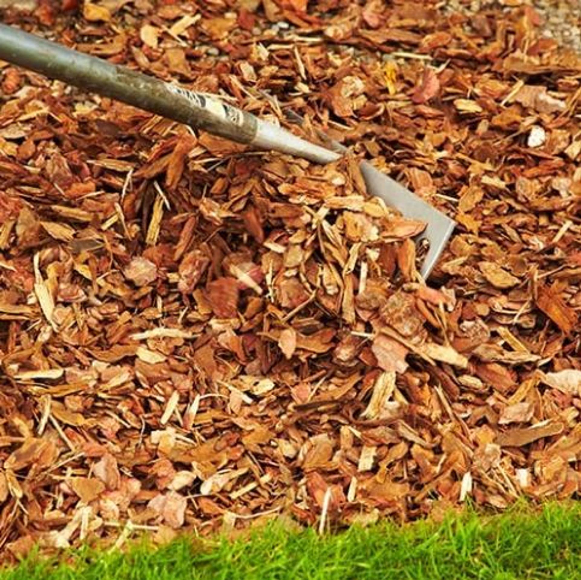 uploads/images/Playbarkbulkbag__04452