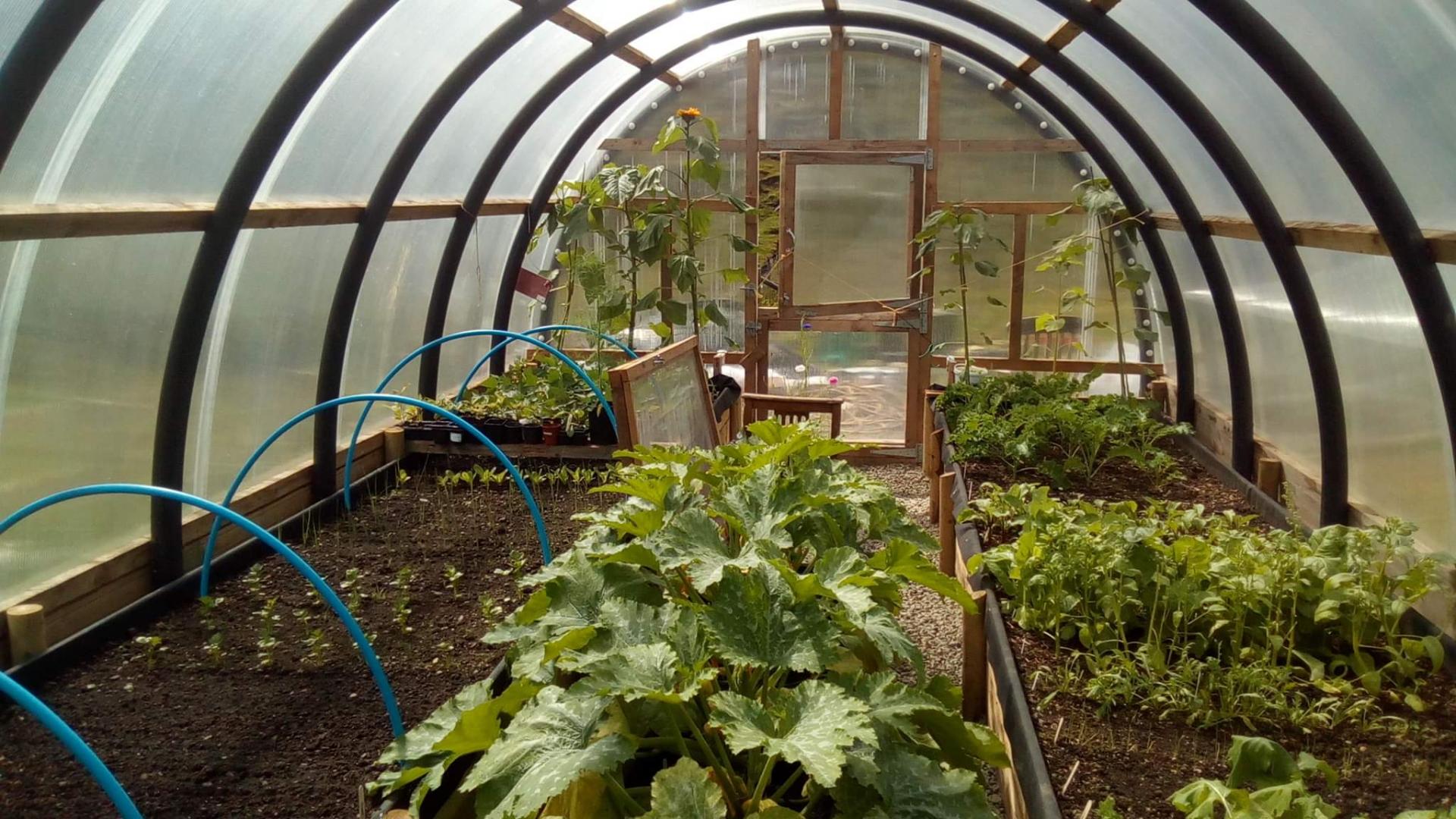 uploads/images/Polycrub Classic Inside