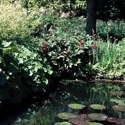 uploads/images/Pond3