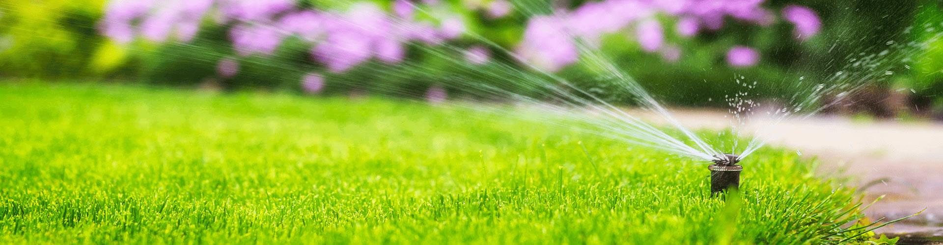 uploads/images/Popup Banner Small