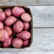 uploads/images/Pots In Box