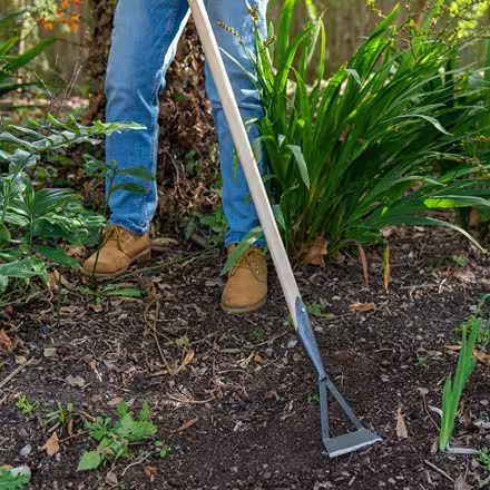 uploads/images/Pr2000012029