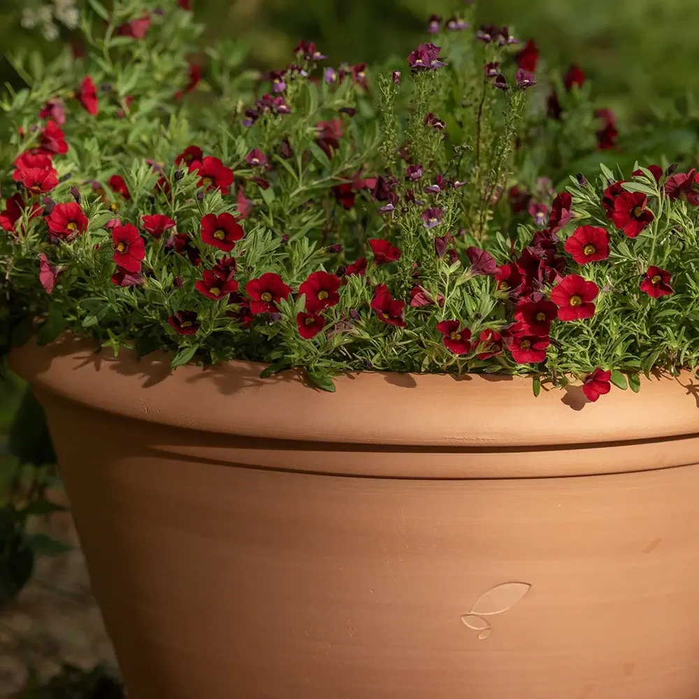 uploads/images/Pr2000052243_card4_lg 3a62336c44555bebecb3872062d7b9ef