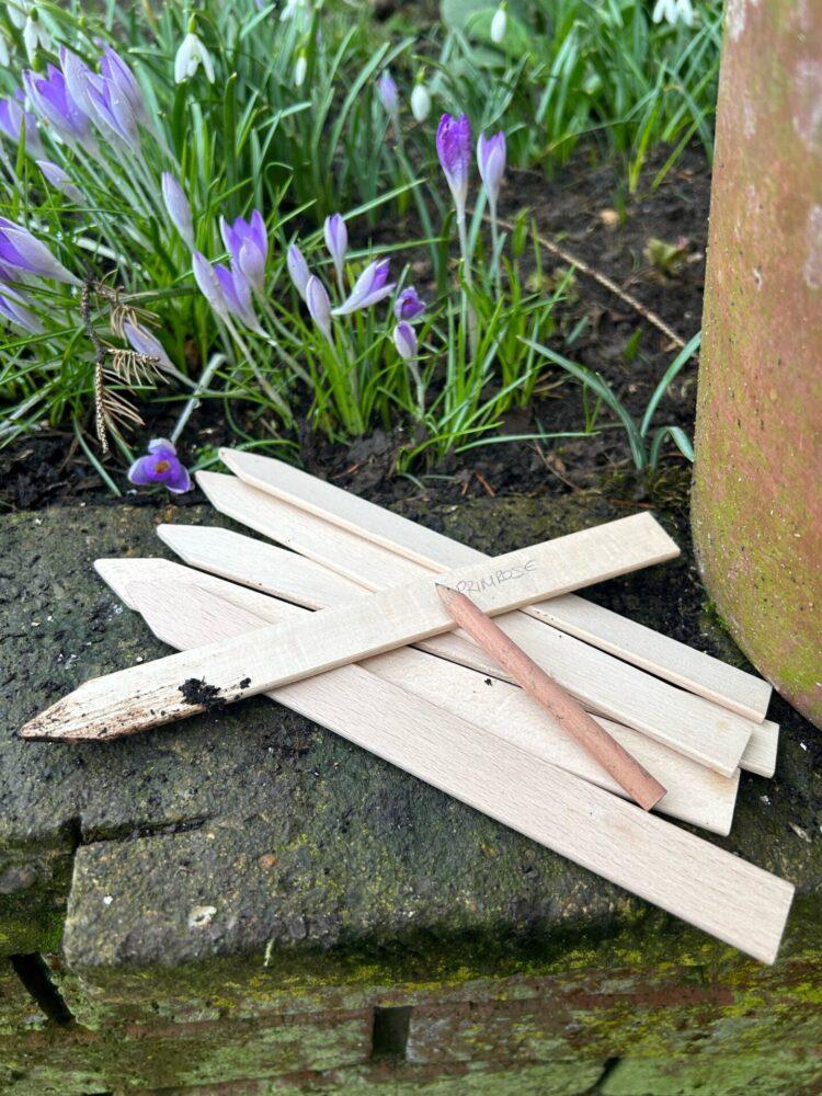 uploads/images/Primrose Terra 750x1000