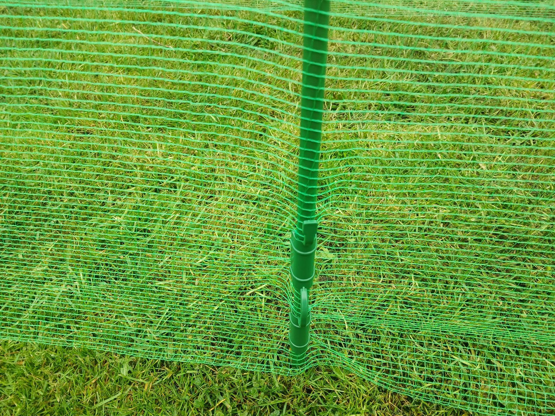 uploads/images/Pro Ynnnunde