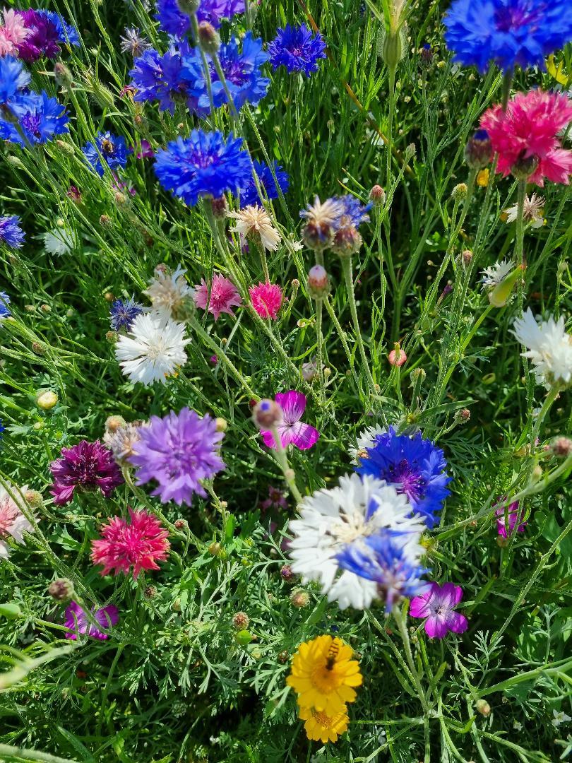 uploads/images/Prod_1530_3