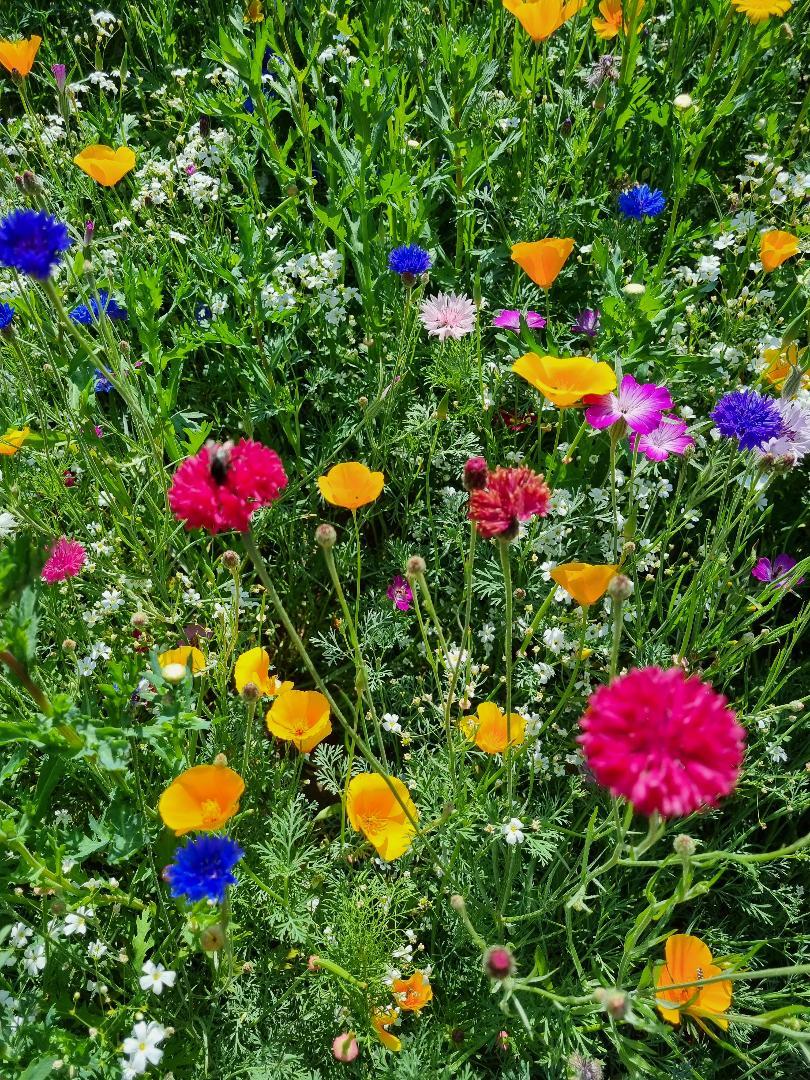 uploads/images/Prod_1530_5