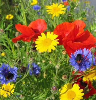 uploads/images/Prod_1599_0