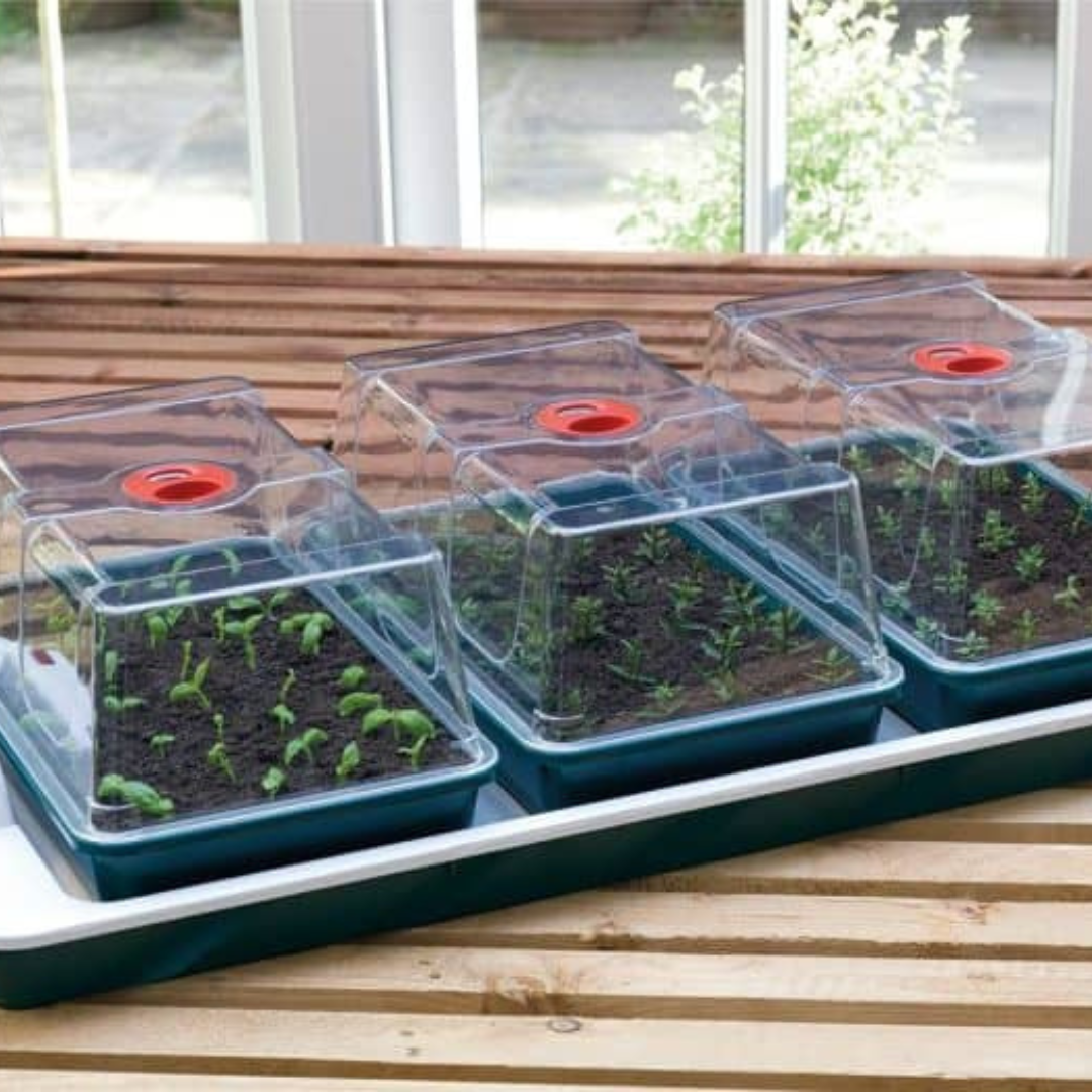 uploads/images/Prop5