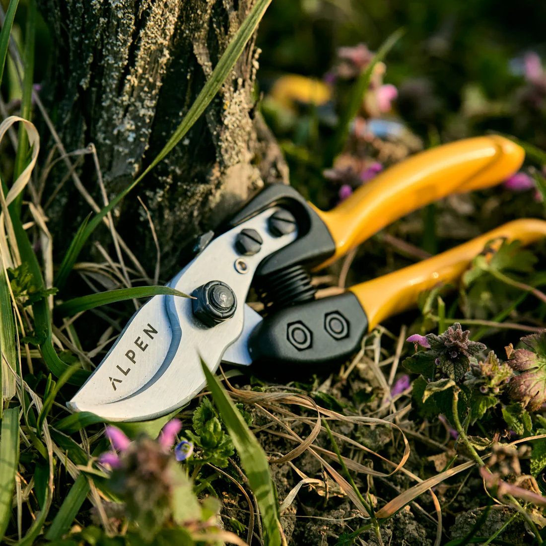 uploads/images/Pruningshear_gelbrhorn150_12