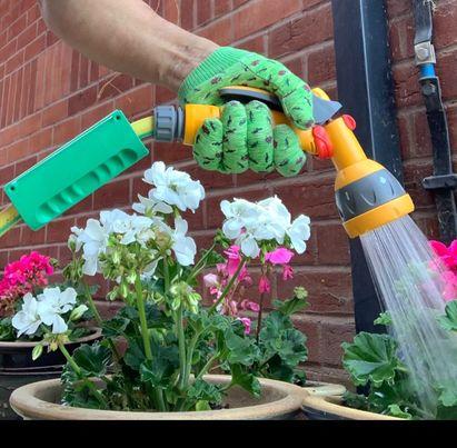 uploads/images/Ps Pic