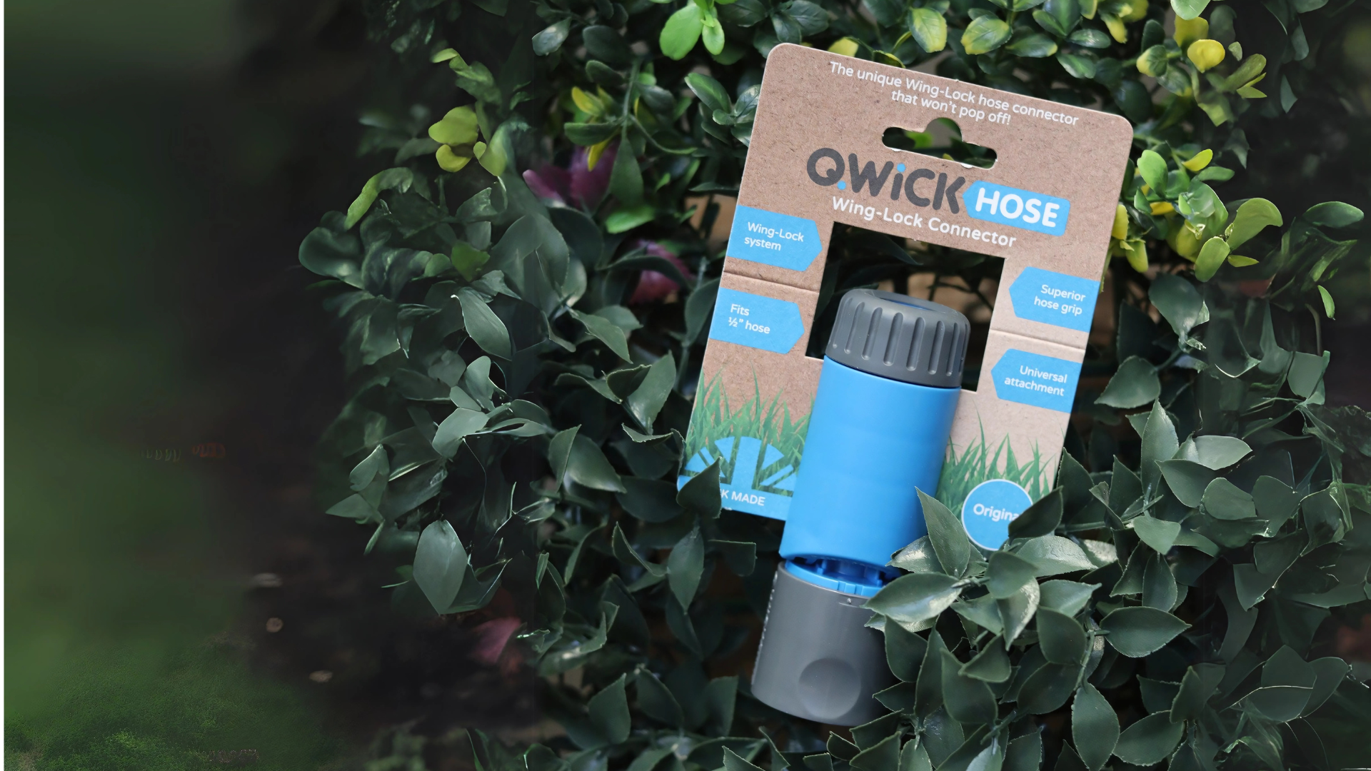 uploads/images/Qh Header