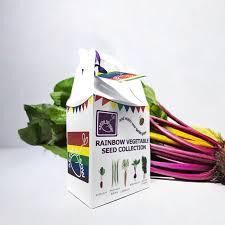 uploads/images/Rainbow