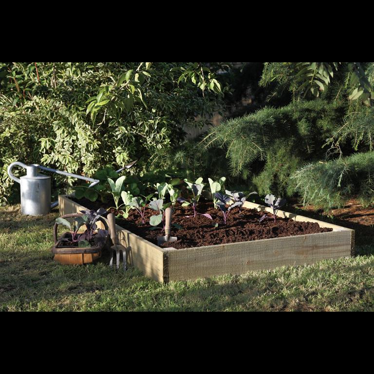 uploads/images/Raised Bed 2