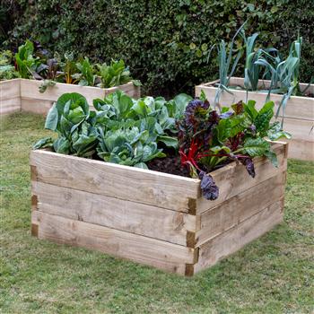 uploads/images/Raised Bed Bol