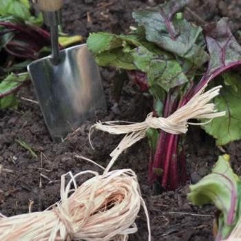 uploads/images/Rapraf000876