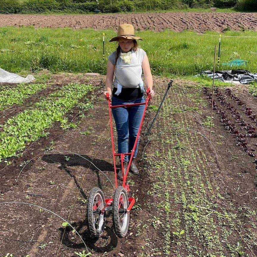 uploads/images/Reag1