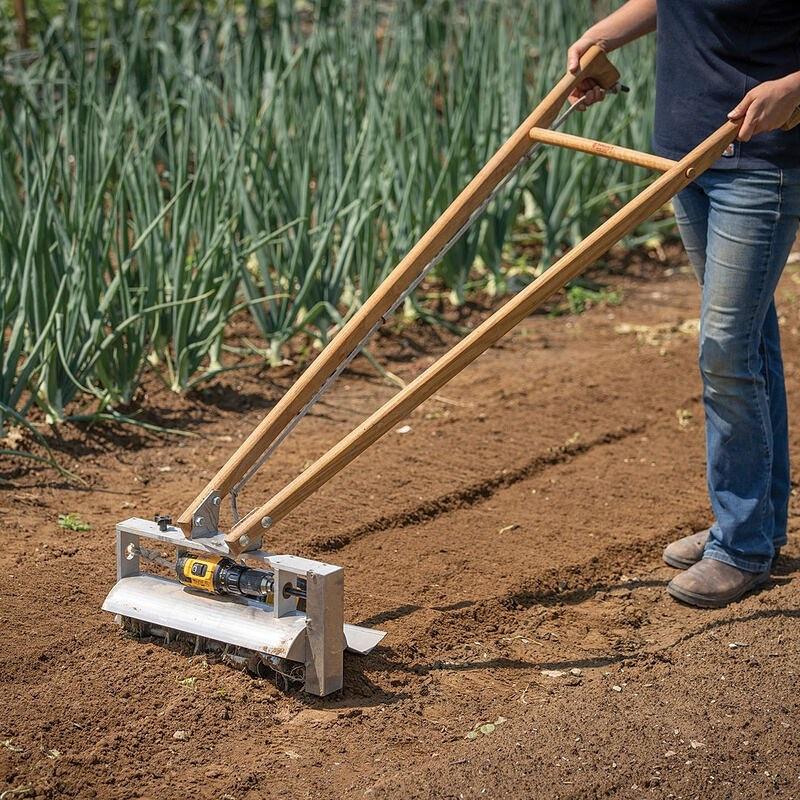 uploads/images/Reag5