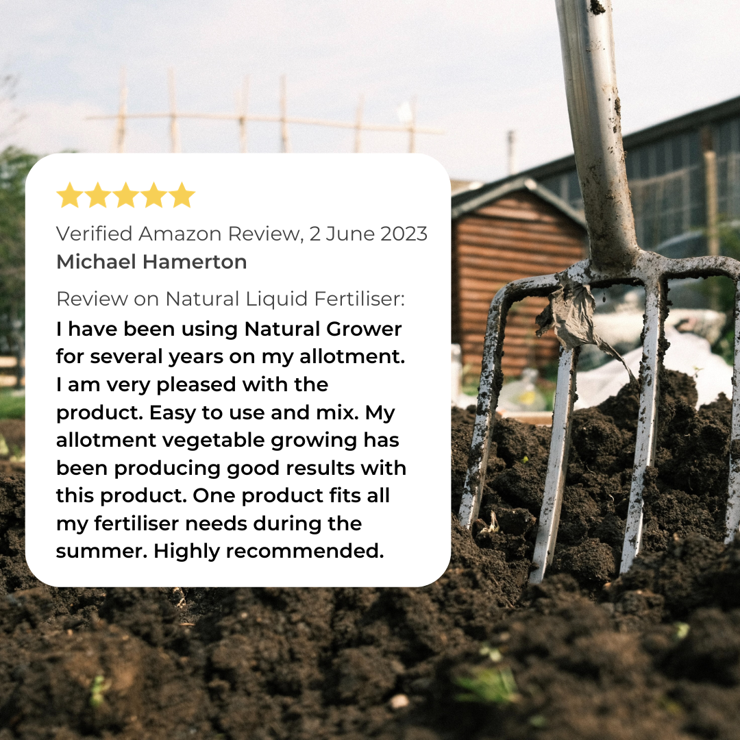 uploads/images/Review 7