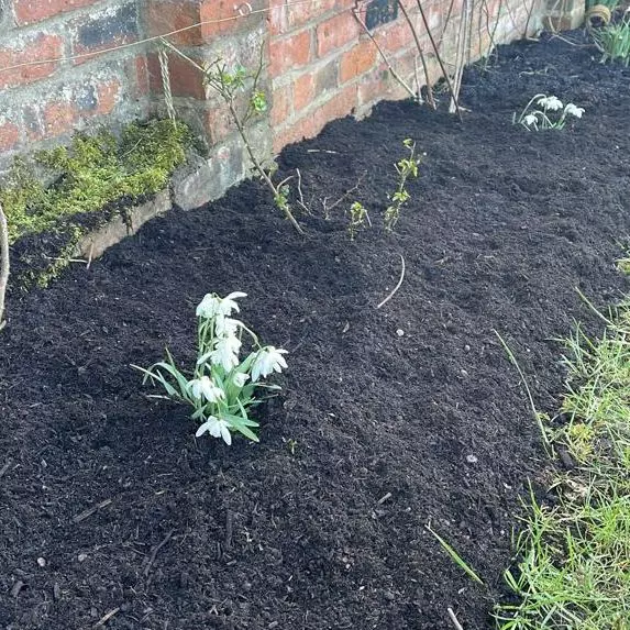 uploads/images/Rxjj52941 E1647268965173 1