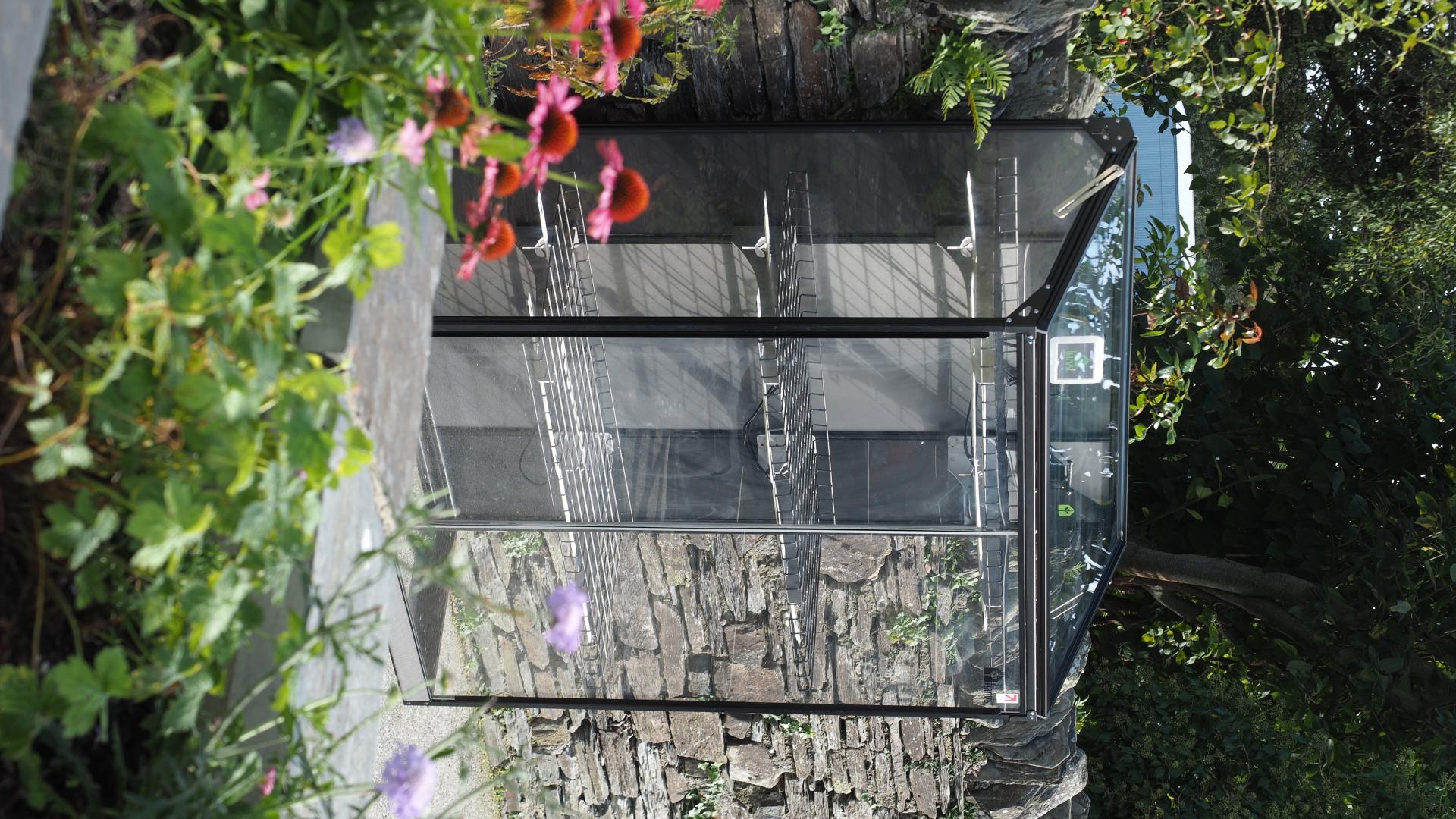 uploads/images/S16_flower