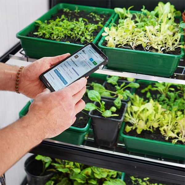 uploads/images/S_app