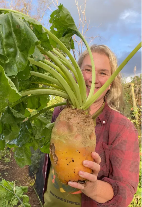 uploads/images/Screenshot 2021 10 31 At 07.48.15