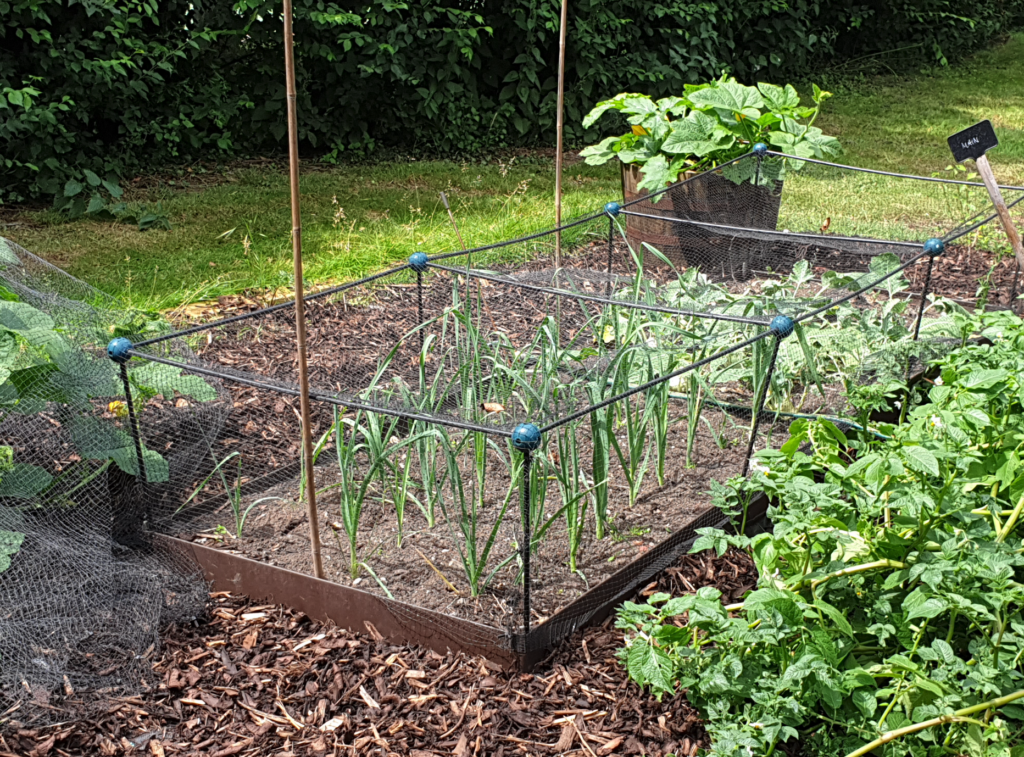 uploads/images/Screenshot 2024 01 29 At 15.47.24 1024x757