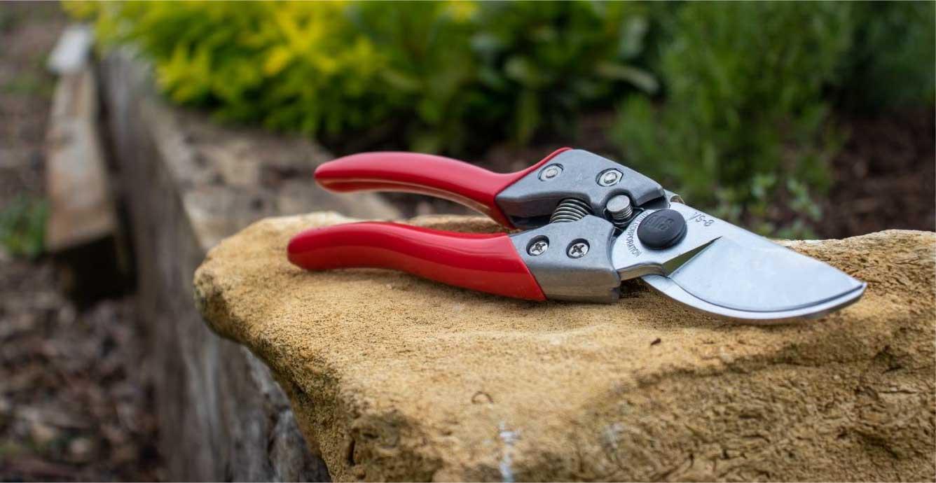 uploads/images/Secateurs