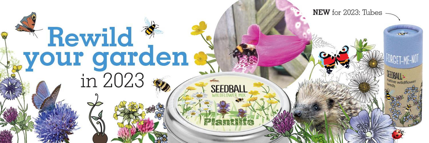 uploads/images/Seedball 2023