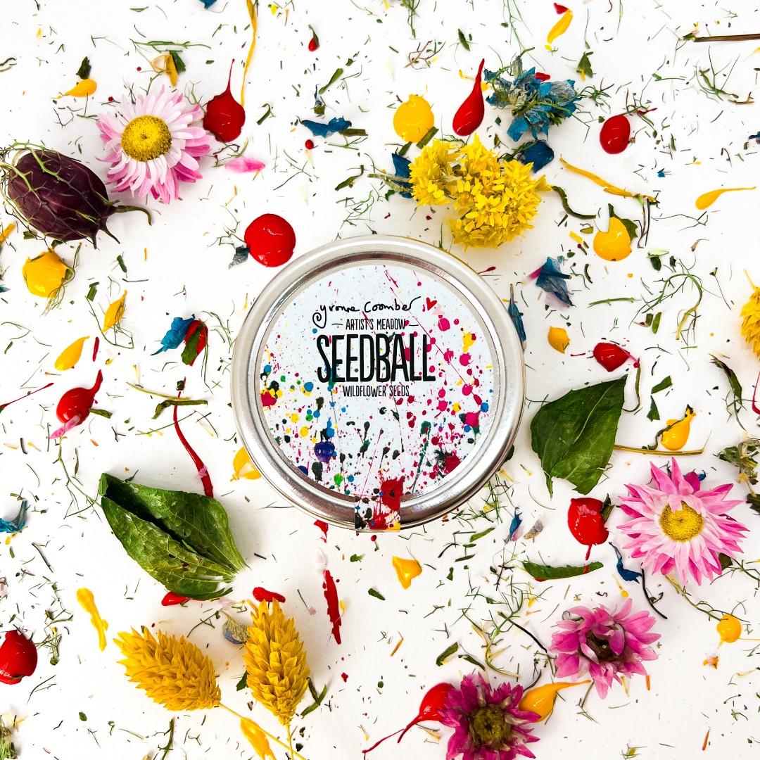 uploads/images/Seedball