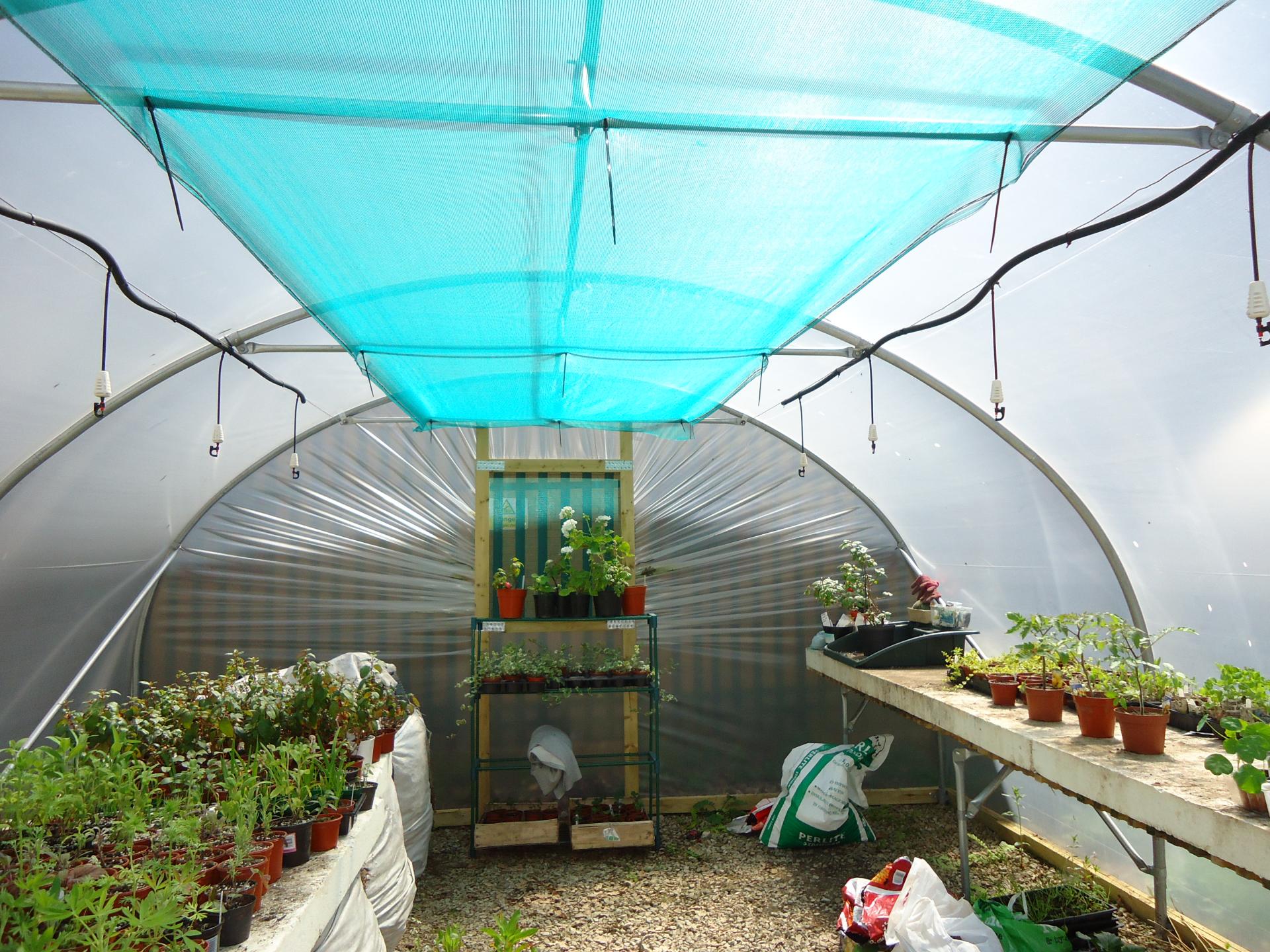 uploads/images/Shade Net Inside Polytunnel
