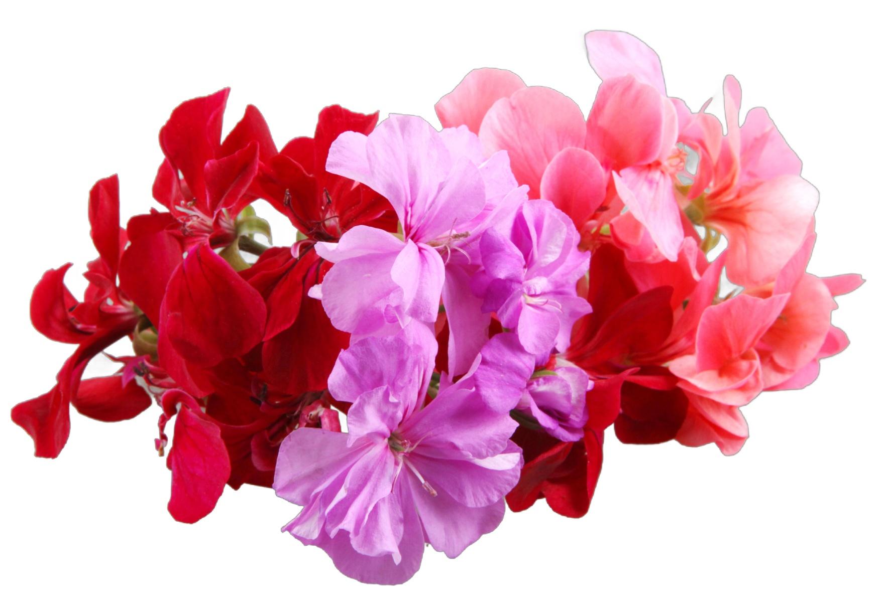 uploads/images/Shutterstock_289315511 1