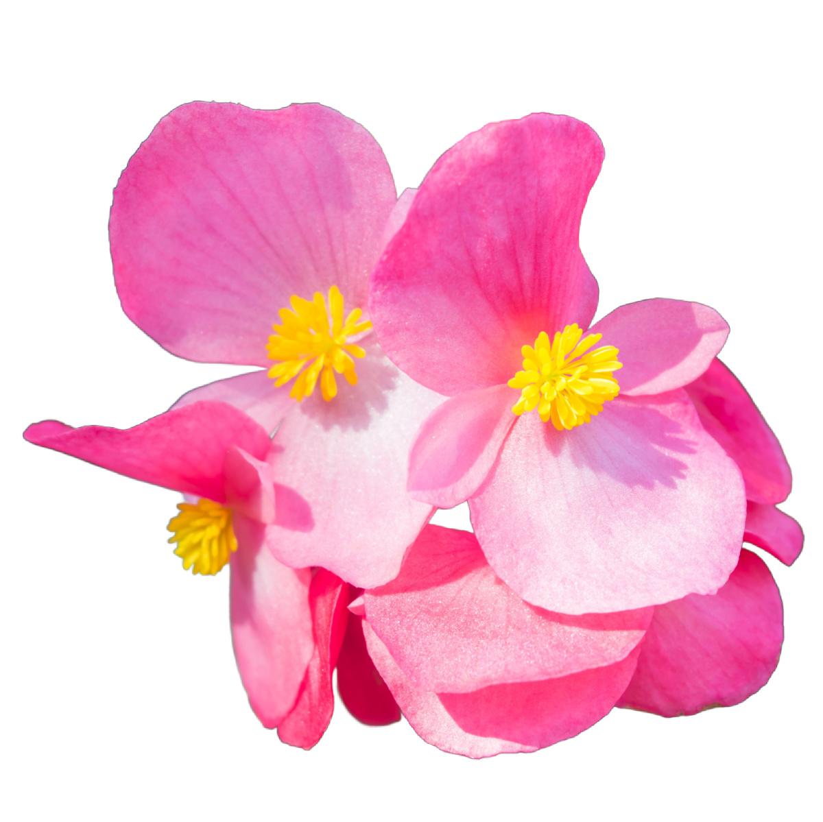 uploads/images/Shutterstock_359695781