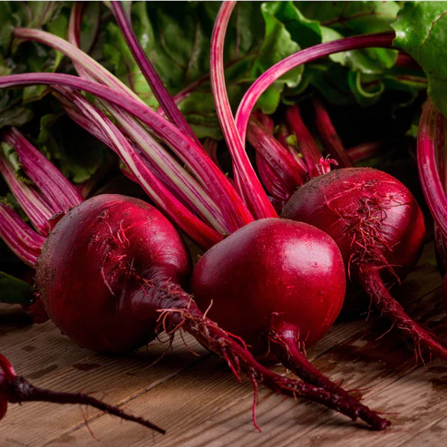 uploads/images/Shutterstock_451081120_493x