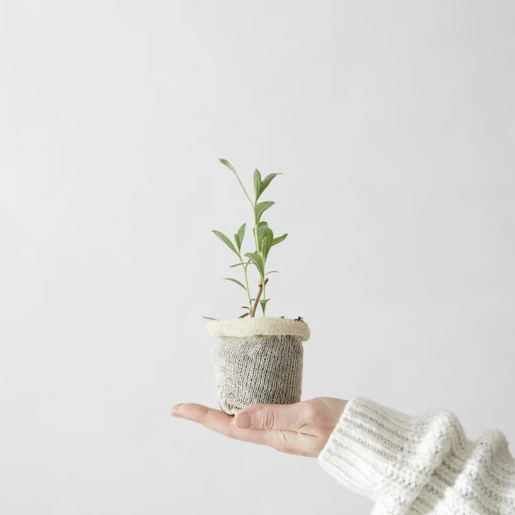 uploads/images/Single Wool Pot