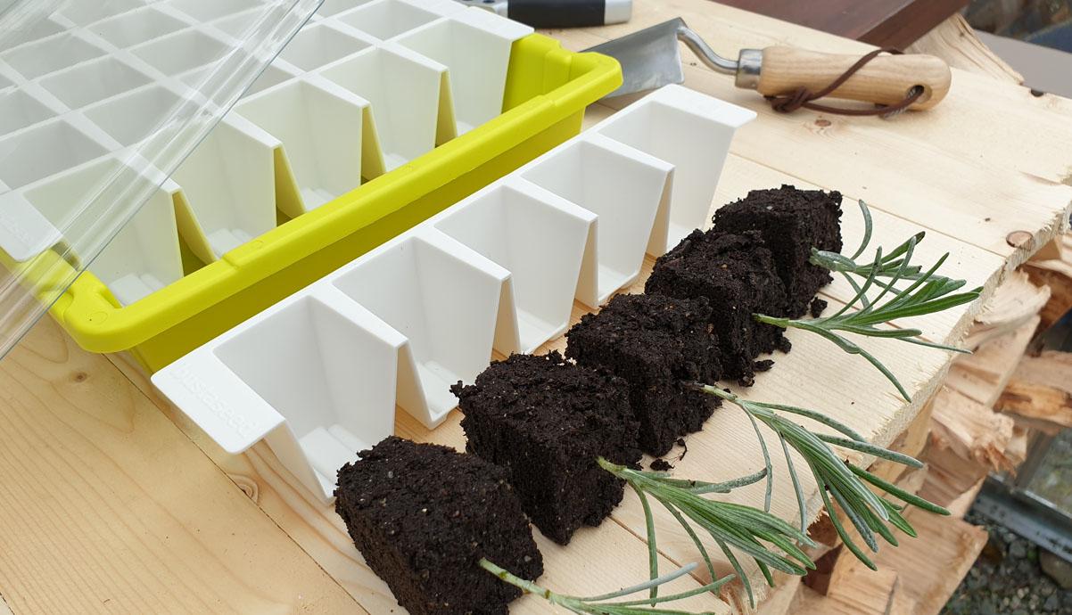 uploads/images/Sowing and Growing Plants