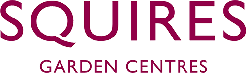 uploads/images/Squires Logo