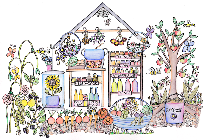 uploads/images/Steph Hafferty House_garden Colour 