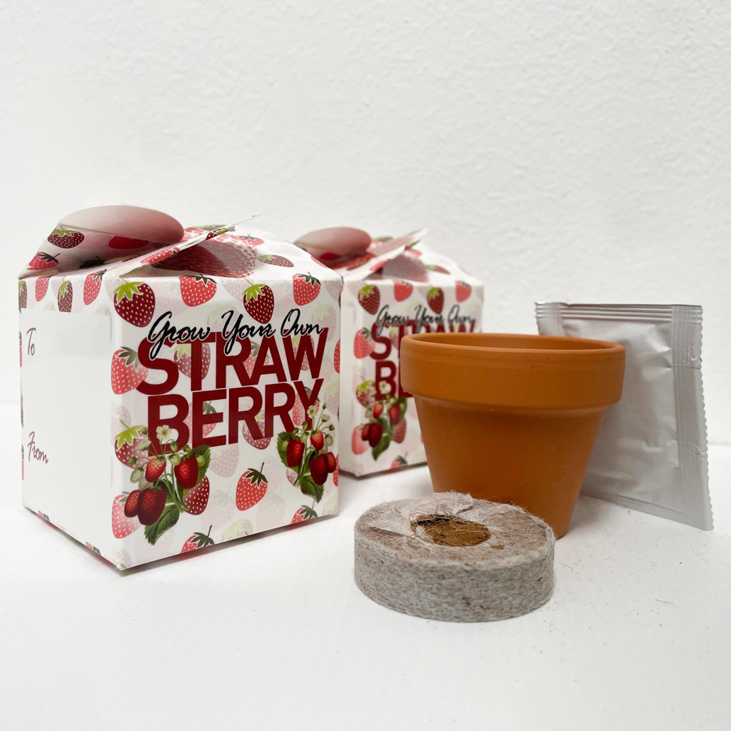 uploads/images/Strawberry 2