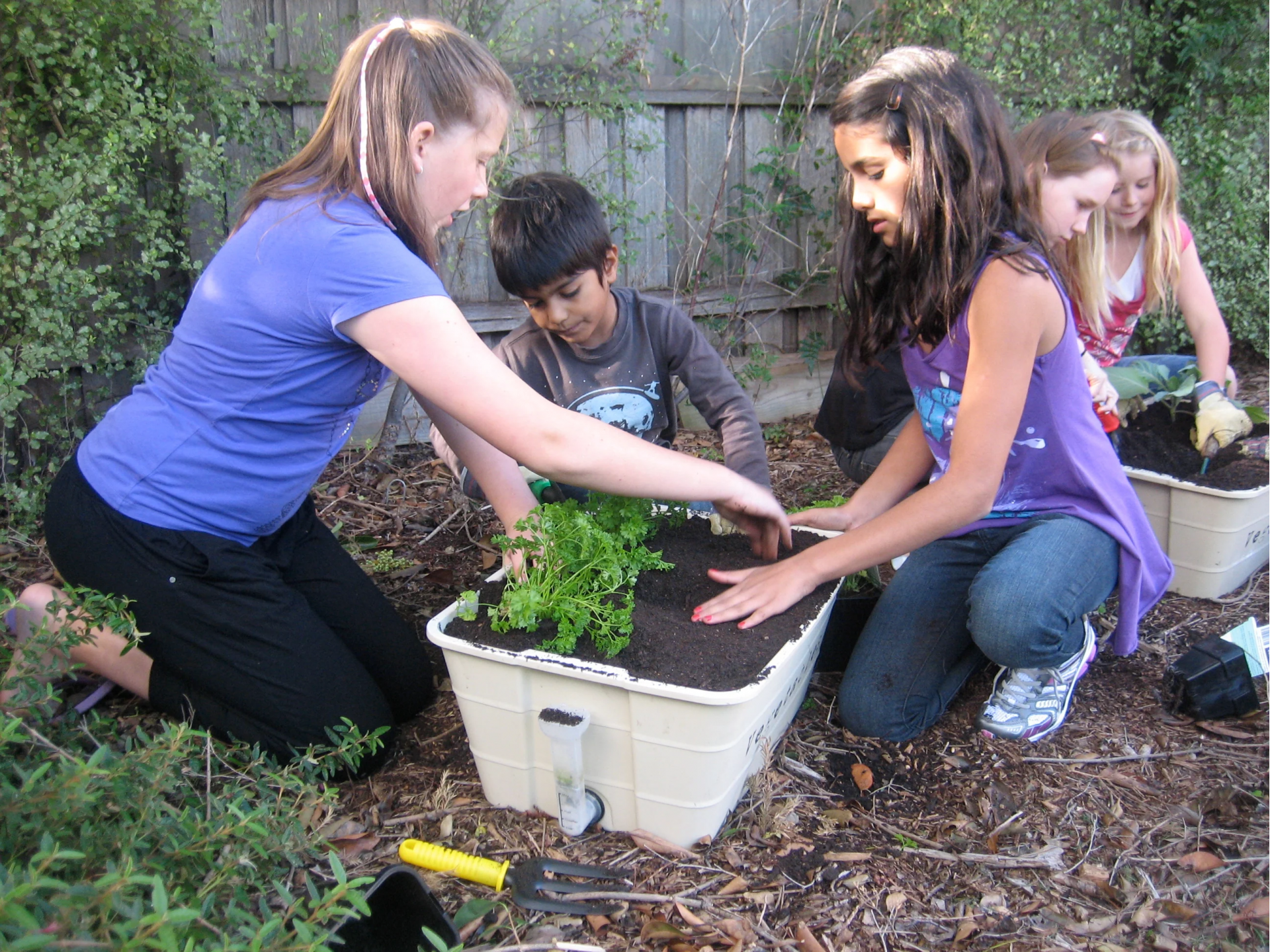 uploads/images/Student_gs_pot_2