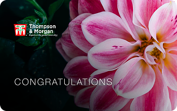 uploads/images/T Gc Congrats