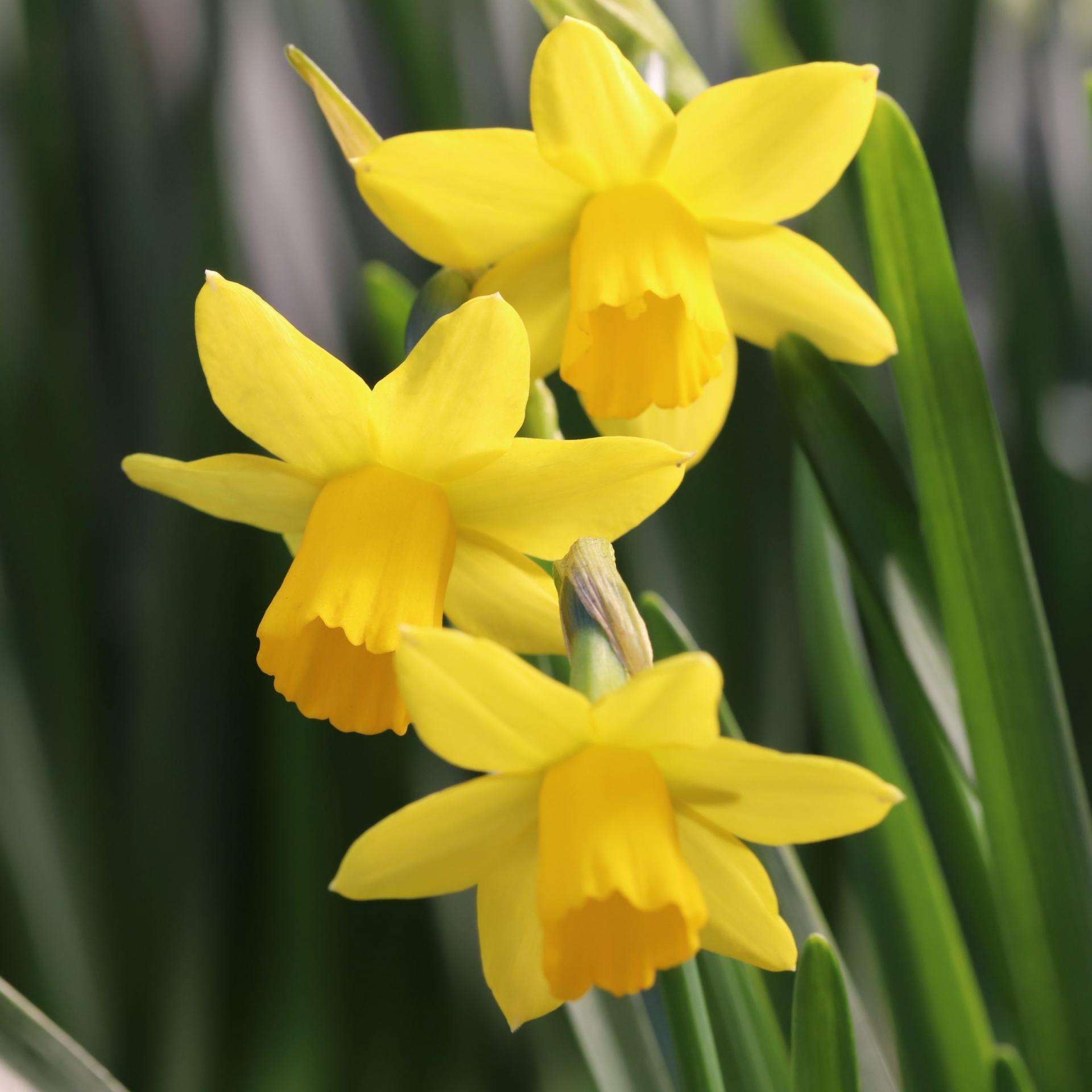 uploads/images/Tete A Tete Square Scaled