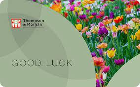 uploads/images/Thompson and Morgan Voucher