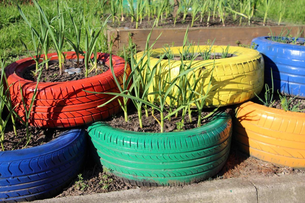 uploads/images/Tires