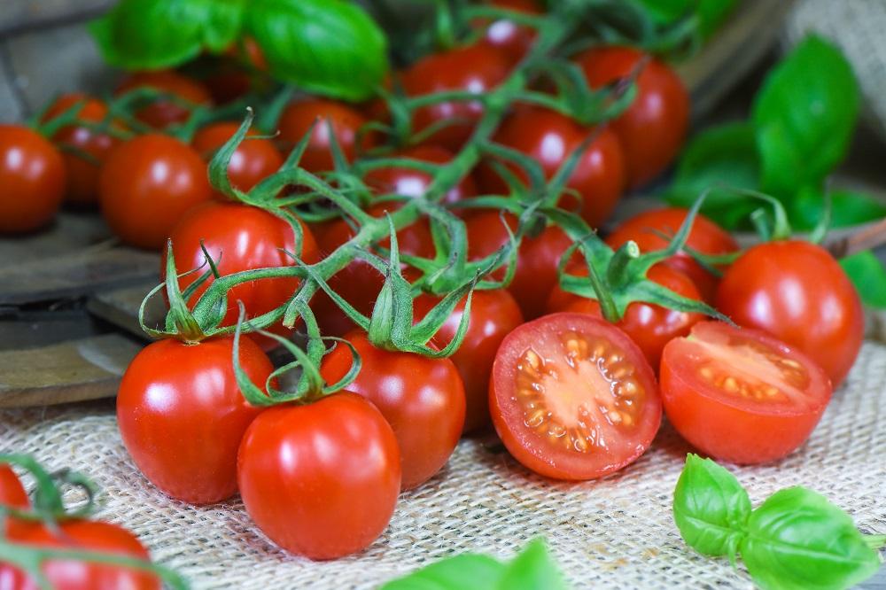 uploads/images/Toma_rubylicio_t17343