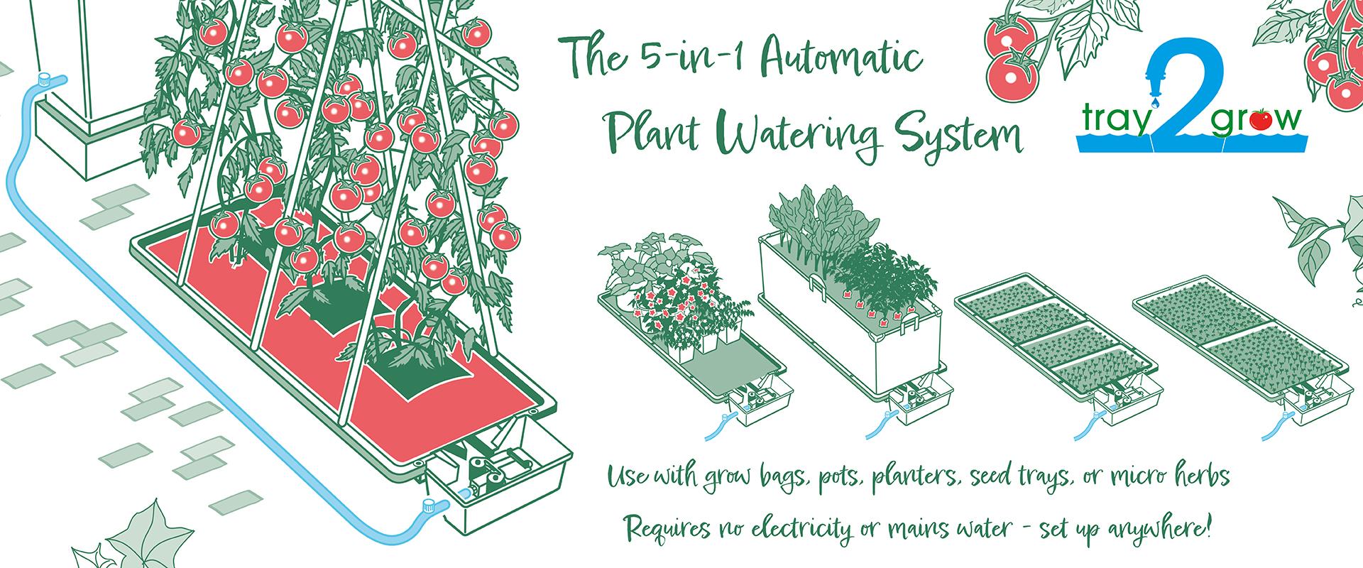 uploads/images/Tray2grow New Box Front 1920x800